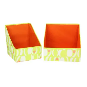 Orange Two-toned Accessory Bin