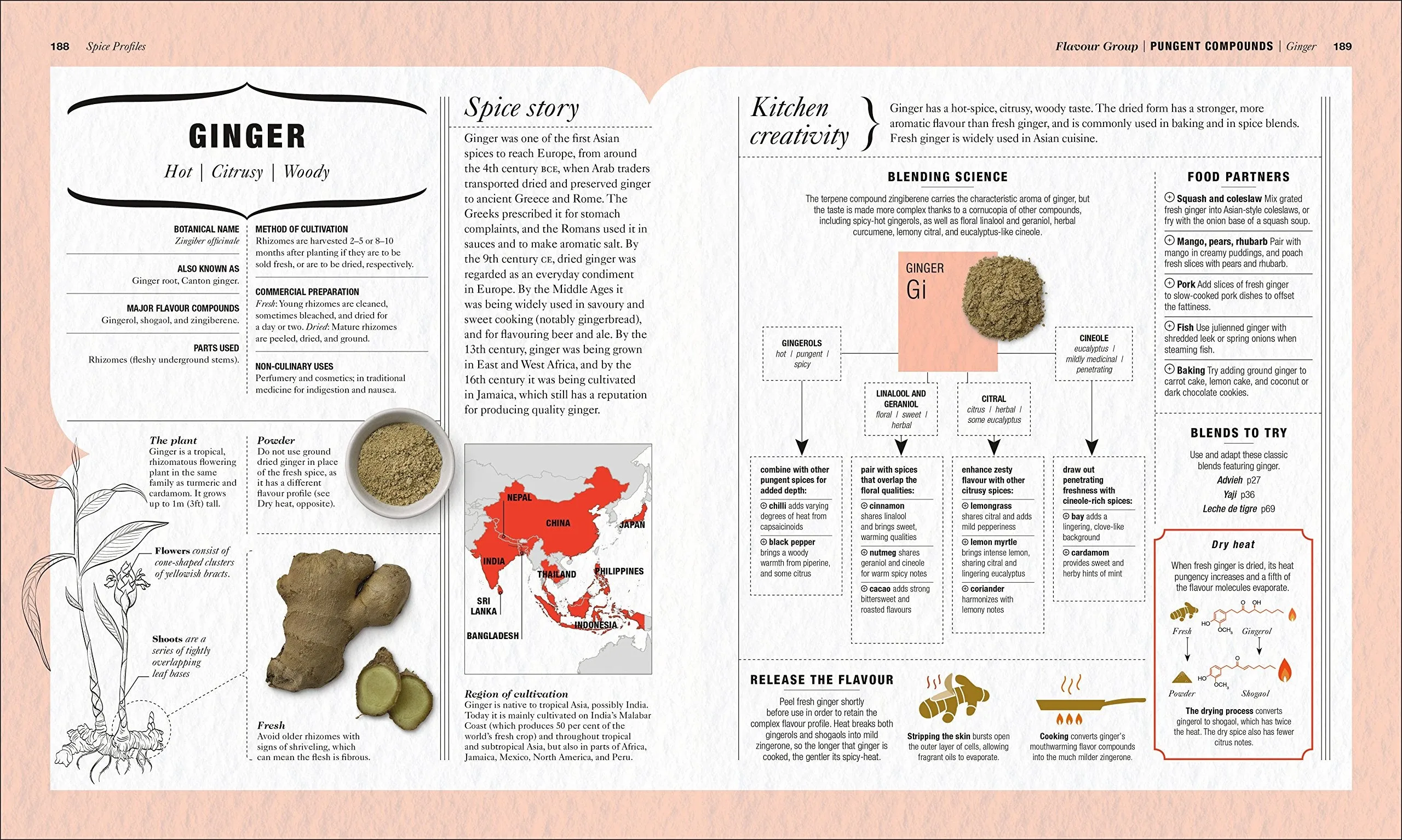 Science of Spice: Understand Flavor, Connections and Revolutionize Your Cooking