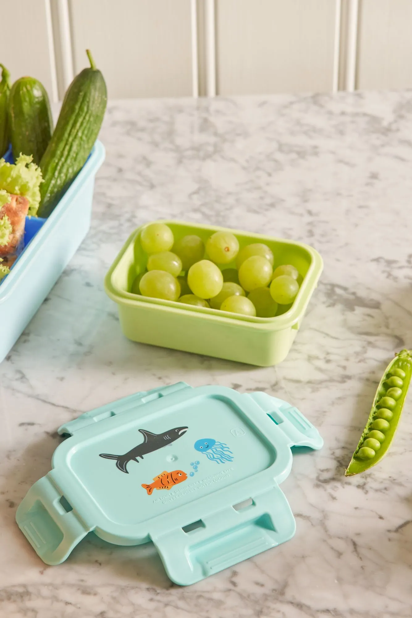 Small Lunch box - Mint - Wildlife Print